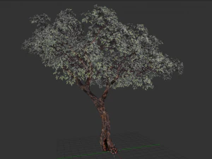realistic tree 2 3D Model