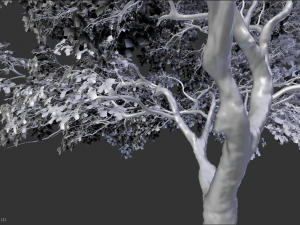 realistic tree 2 3D 模型
