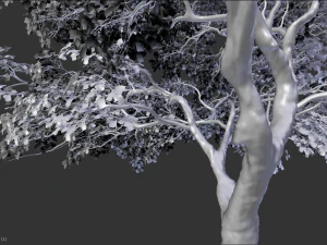 realistic tree 2 3D Model