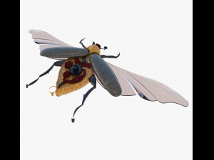 souvenir of the may beetle 3Dモデル