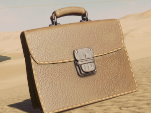 bag101 3D Model