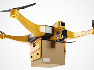 package delivery drone  3D Model