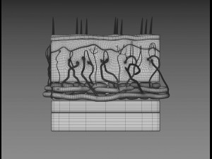 skin cross sections-damaged skin-cut skin- with 4k textures 3D Model