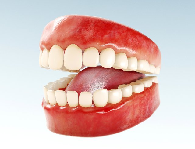 realistic human teeth - mouth for character low-poly Modelo 3D .c4d .max .obj .3ds .fbx .stl .blend 