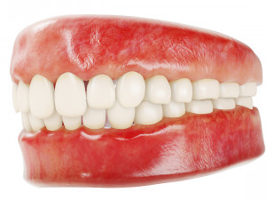 realistic human teeth - mouth for character low-poly Modelo 3D