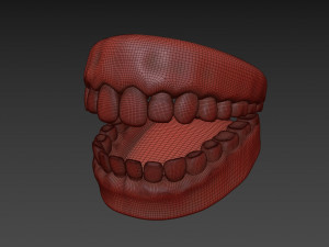 realistic human teeth - mouth for character low-poly Modelo 3D