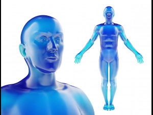 human male anatomy model with internal organs with 4k textures 3D Model