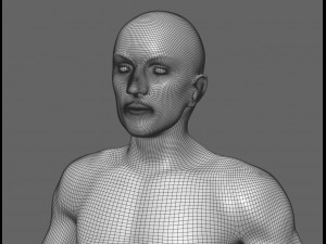 human male anatomy model with internal organs with 4k textures 3D Model
