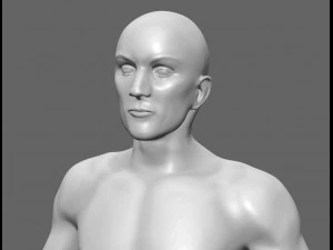 modelo de anatomia masculina humana com &oacute;rg&atilde;os internos com texturas 4k Modelo 3D