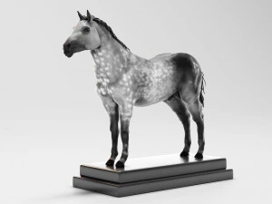 horse anatomy with internal organs - 4k textures 3D Model