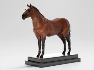 horse anatomy with internal organs - 4k textures 3D Model