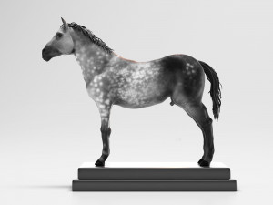 horse anatomy with internal organs - 4k textures Modèle 3D