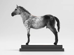 horse anatomy with internal organs - 4k textures 3D Model