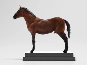 horse anatomy with internal organs - 4k textures 3D Model