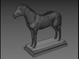 horse anatomy with internal organs - 4k textures 3D Model
