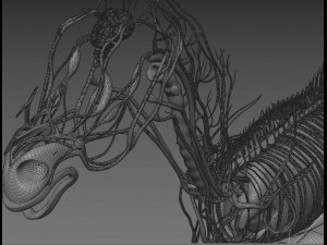 horse anatomy with internal organs - 4k textures Modèle 3D