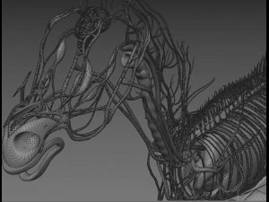 horse anatomy with internal organs - 4k textures 3D Model