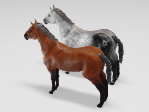 male stallion horses 3D 模型