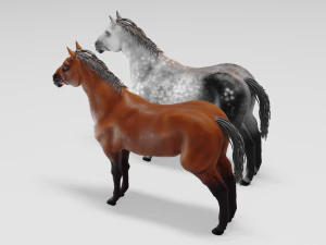 male stallion horses 3D Model