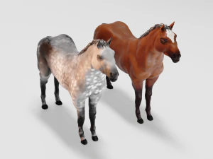 male stallion horses 3D Model