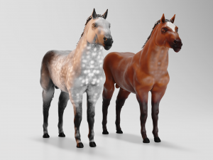 male stallion horses 3D 模型
