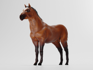 male stallion horses 3D 模型
