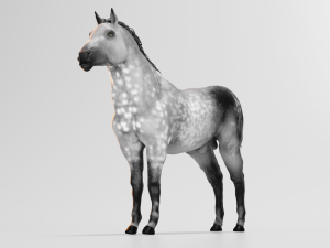 male stallion horses 3D 模型
