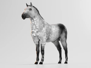 male stallion horses 3D Model