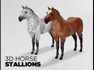 male stallion horses 3D Model