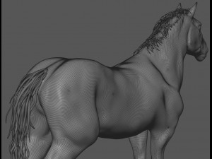 male stallion horses 3D 模型