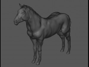 male stallion horses 3D 模型