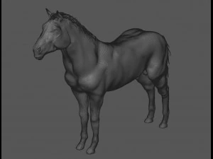 male stallion horses 3D Model
