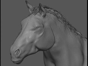male stallion horses 3D 模型