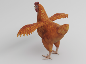 chicken anatomy in t-pose for rigging Model 3D
