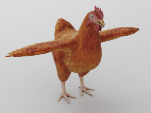 chicken anatomy in t-pose for rigging Model 3D