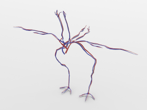 chicken anatomy in t-pose for rigging Model 3D