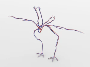 anatomia da galinha em pose para aparelhamento Modelo 3D