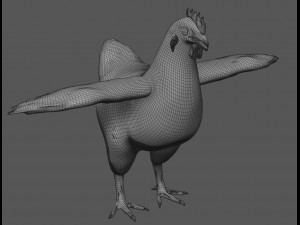 chicken anatomy in t-pose for rigging Model 3D