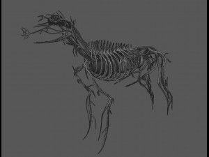 dog anatomy with internal organs - 4k textures Model 3D