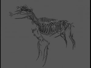 anatomia do c&atilde;o com &oacute;rg&atilde;os internos - texturas 4k Modelo 3D