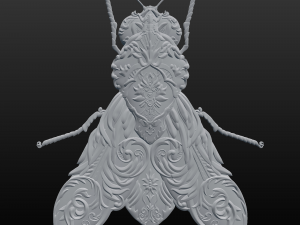 victorian fly Modèle 3D