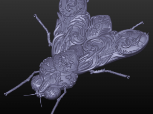 victorian fly Modèle 3D