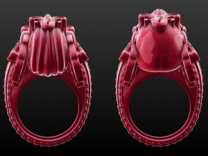 two rings 3D प्रिंट मॉडल