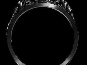 링 2 3D 프린트 모델