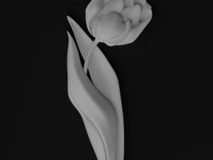 マック 3Dモデル