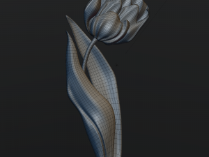 mak 3Dモデル