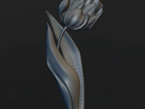 mak 3D Model