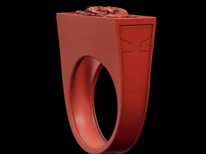 ring with a secret Model Cetak 3D