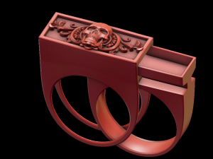 ring with a secret Model Cetak 3D