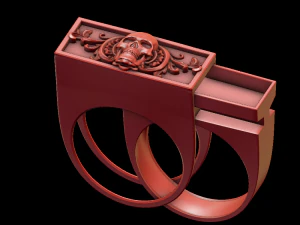 ring with a secret 3D Print Model